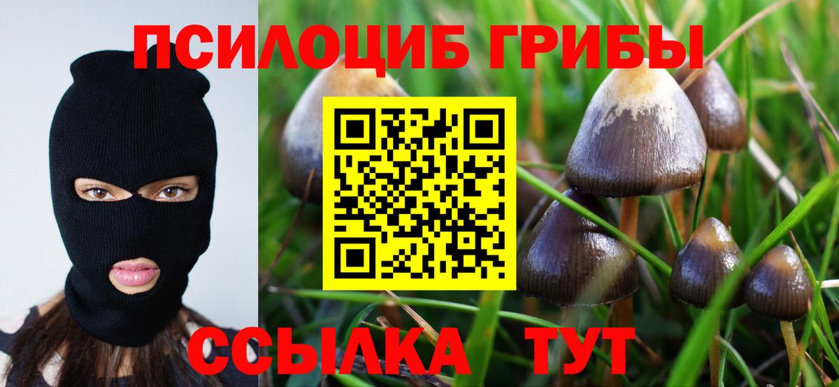 Галлюциногенные грибы прущие грибы Нягань